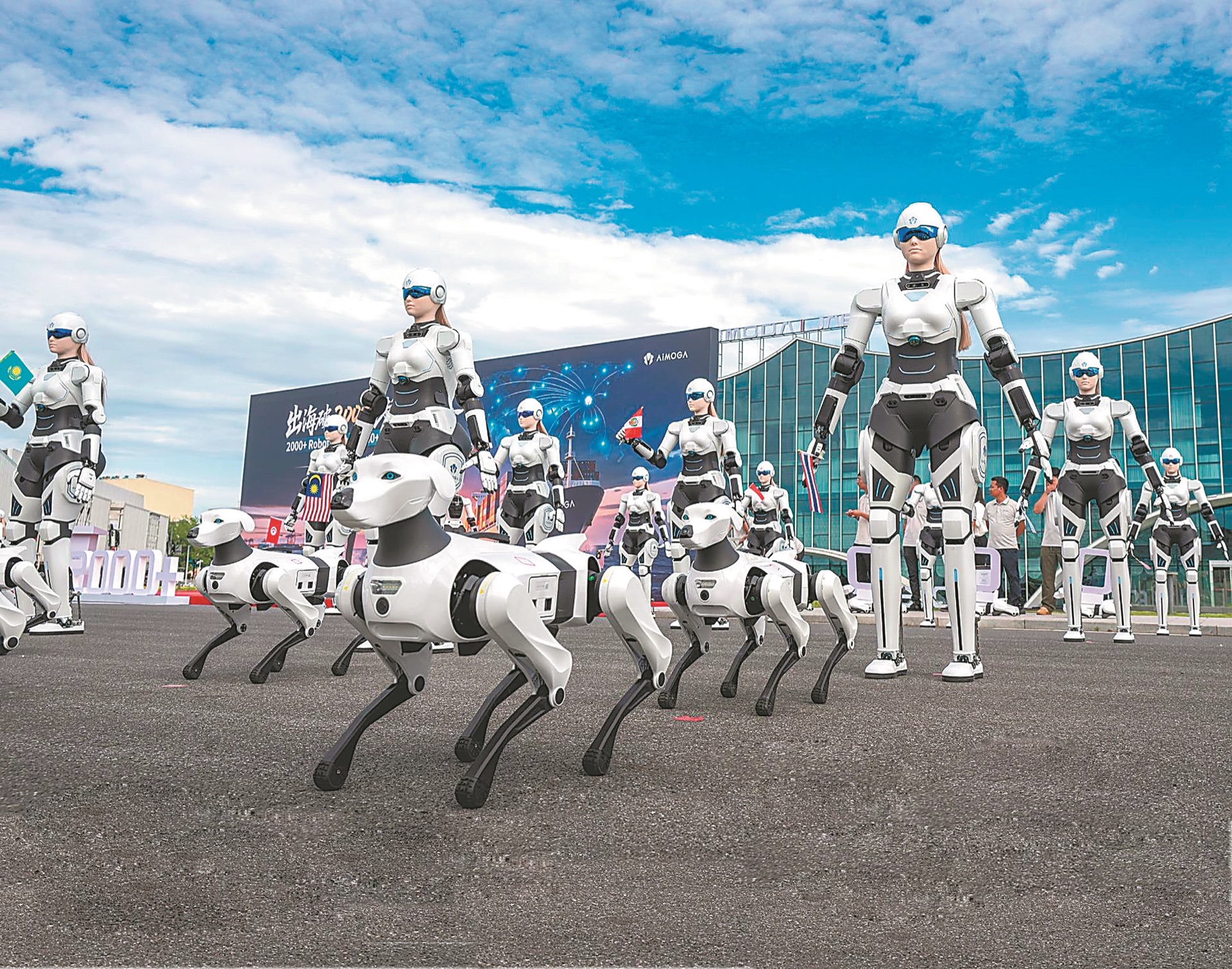 WAIC 2026 安徽展团机器人秀表演