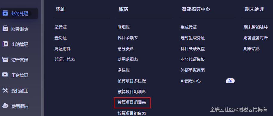 金蝶AI星辰核算项目明细表