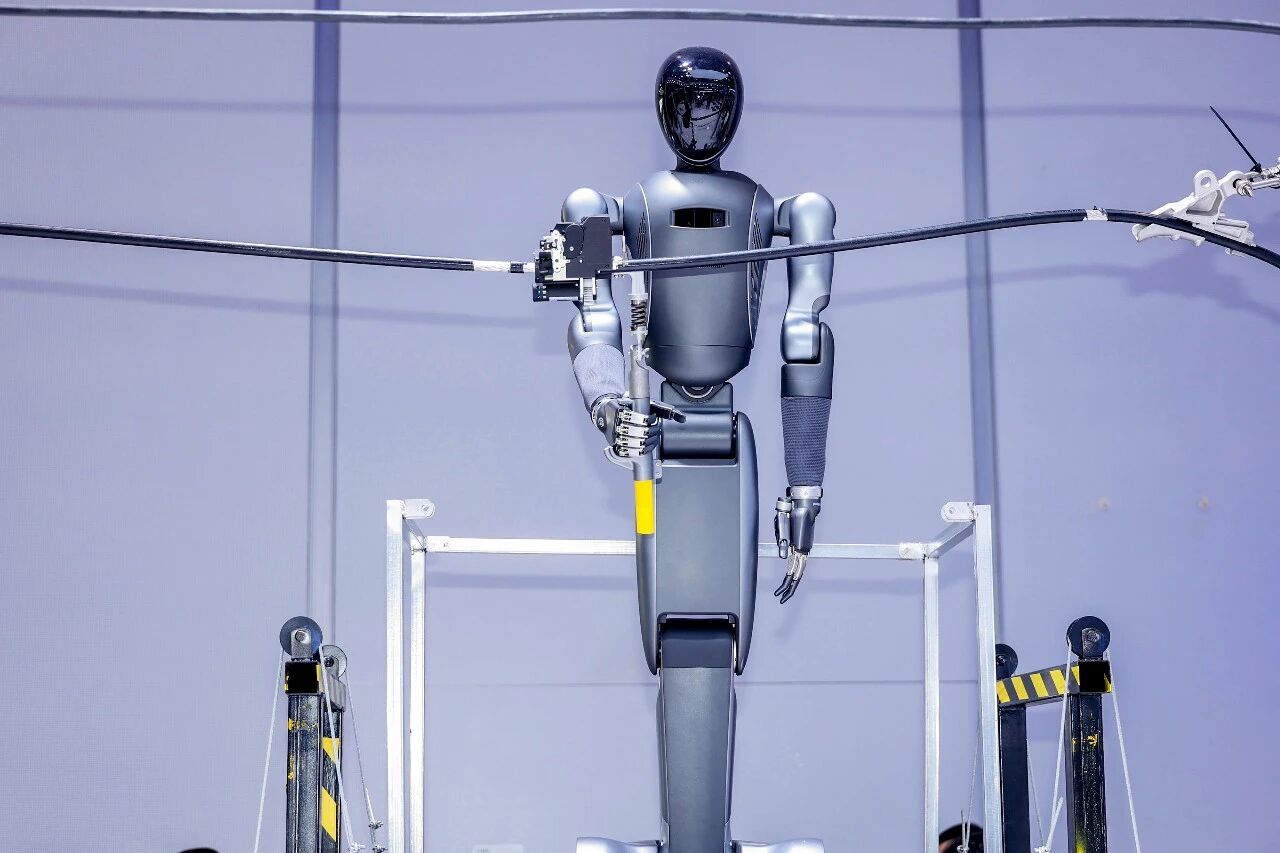 月泉仿生博文 W-Bot 2.0 机器人