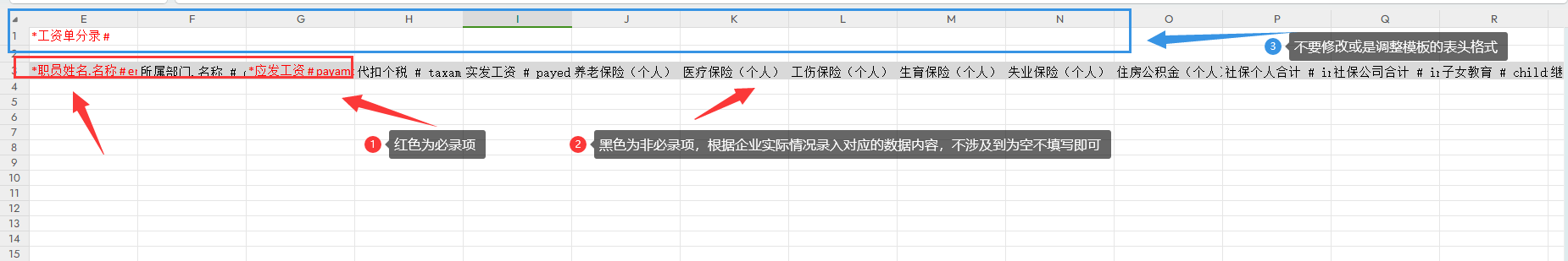 金蝶云星辰工资单引入模板表头必录项与非必录项标注